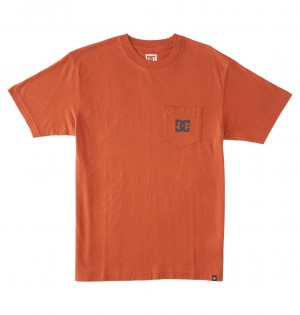 Auburn DC Shoes DC Star - T-Shirt | RWCTFX-827