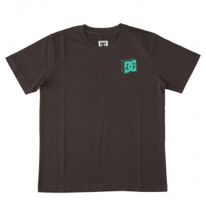 Black Enzyme Wash DC Shoes Mid Century - T-Shirt 8-16 | FGUDQL-920