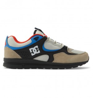 Blue / White DC Shoes Kalis Lite - Leather Shoes | CJZDFL-486