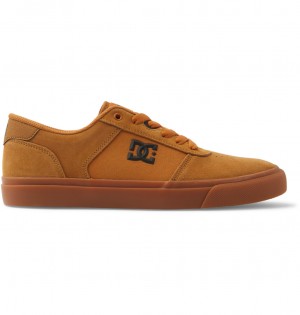 Dark Chocolate / Wheat / Gum DC Shoes Teknic - Leather Shoes | MSZGDW-017