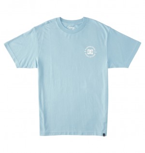 Forget Me Not DC Shoes DC Star Pilot - T-Shirt | UTJFRH-598