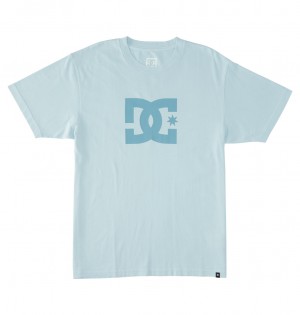 Forget Me Not Enzyme Wash DC Shoes DC Star Pigment Dye - T-Shirt | JVLTFB-074