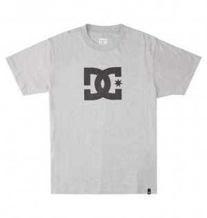 Heather Grey DC Shoes DC Star - T-Shirt | BLVSXC-532