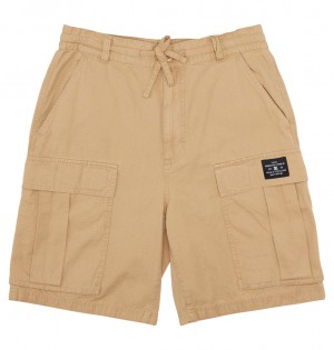 Incense DC Shoes Tundra - Cargo Shorts | NIDOPH-138