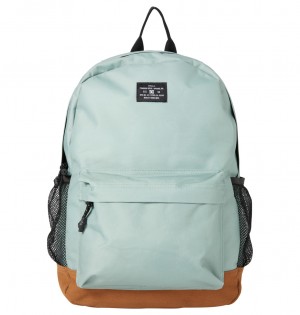 Lily Pad DC Shoes Backsider Core 20L - Medium Backpack | HKJNRI-892