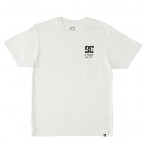 Lily White DC Shoes Classic - T-Shirt | HEDYQF-319