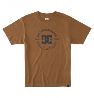 Otter DC Shoes DC Star Pilot - T-Shirt | HKBJFO-723