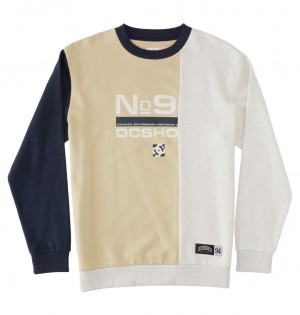 Overcast Multi DC Shoes Static - Sweatshirt | YRJDQP-038