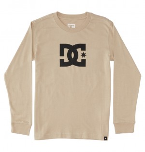 Plaza Taupe DC Shoes DC Star - Long Sleeve T-Shirt | LJXNBQ-987