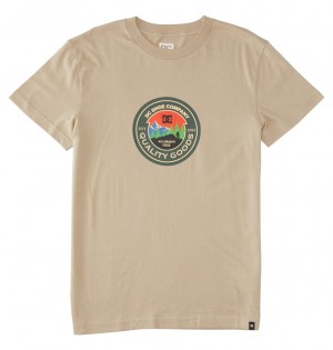 Plaza Taupe DC Shoes Outdoorsman - T-Shirt | JKHAPW-230