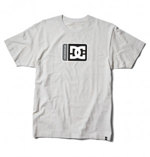 Snow Heather DC Shoes Shanahan - T-Shirt | XZUWDG-832