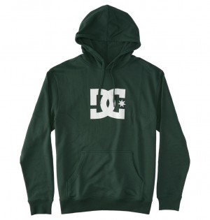 Sycamore DC Shoes DC Star - Hoodie | KQRIHB-320