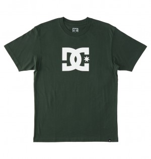 Sycamore DC Shoes DC Star - T-Shirt | RFQJBN-237