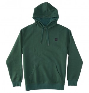 Sycamore Garment Dye DC Shoes DC 1994 - Hoodie | RFVJHC-178