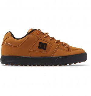 Wheat DC Shoes Pure WNT - Winterised Shoes | ECZMFG-415