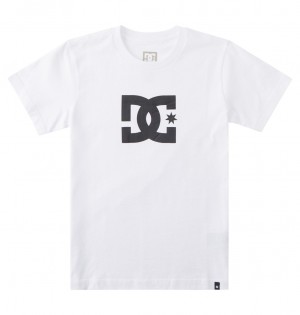 White DC Shoes DC Star - Short Sleeve T-Shirt 8-16 | YCWRPA-530