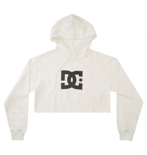 White DC Shoes DC - Hoodie | DGEBFZ-208