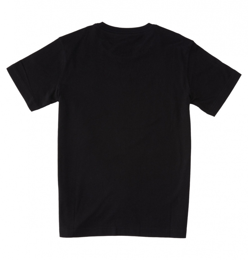 Black / Cloud Cover DC Shoes DC Star Fill - Short Sleeve T-Shirt 8-16 | YPTXCQ-937