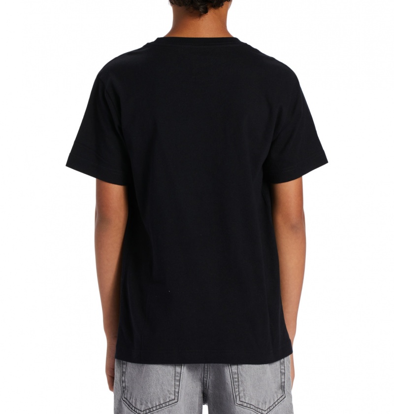 Black / Cloud Cover DC Shoes DC Star Fill - Short Sleeve T-Shirt 8-16 | YPTXCQ-937