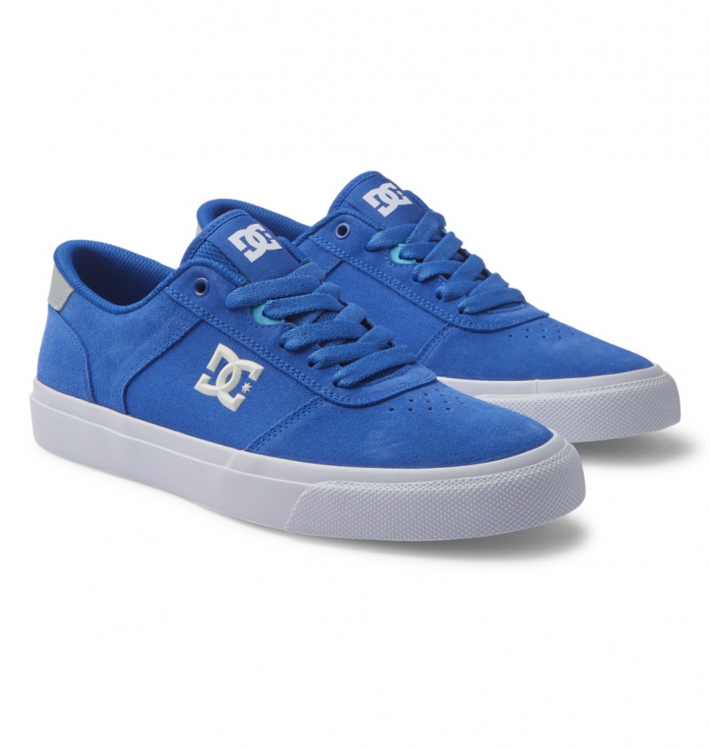 Blue / Blue / White DC Shoes Teknic - Leather Shoes | VAHMXQ-712