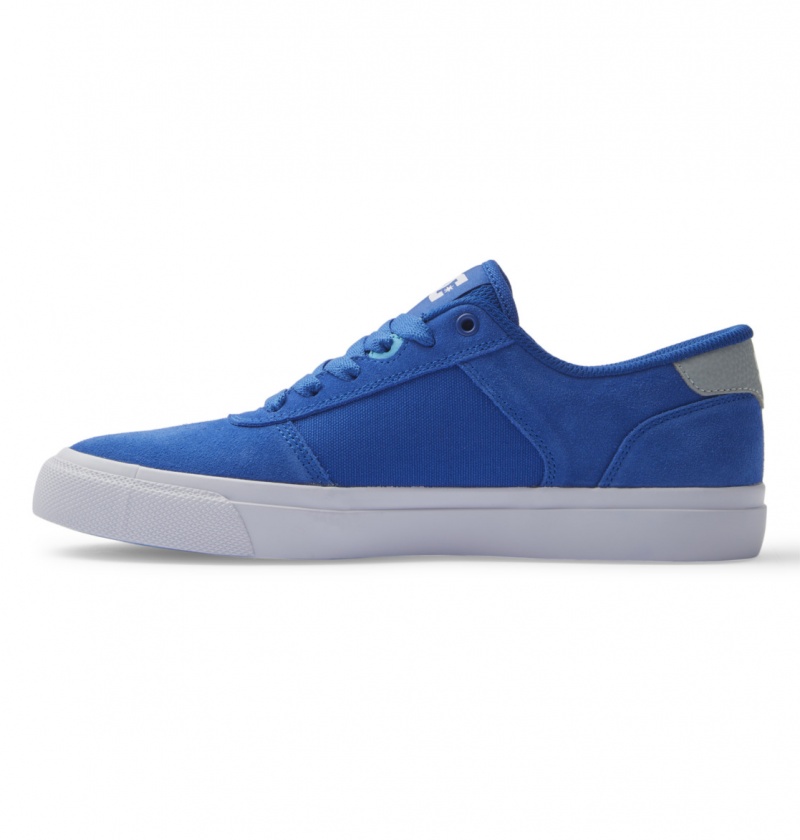 Blue / Blue / White DC Shoes Teknic - Leather Shoes | VAHMXQ-712