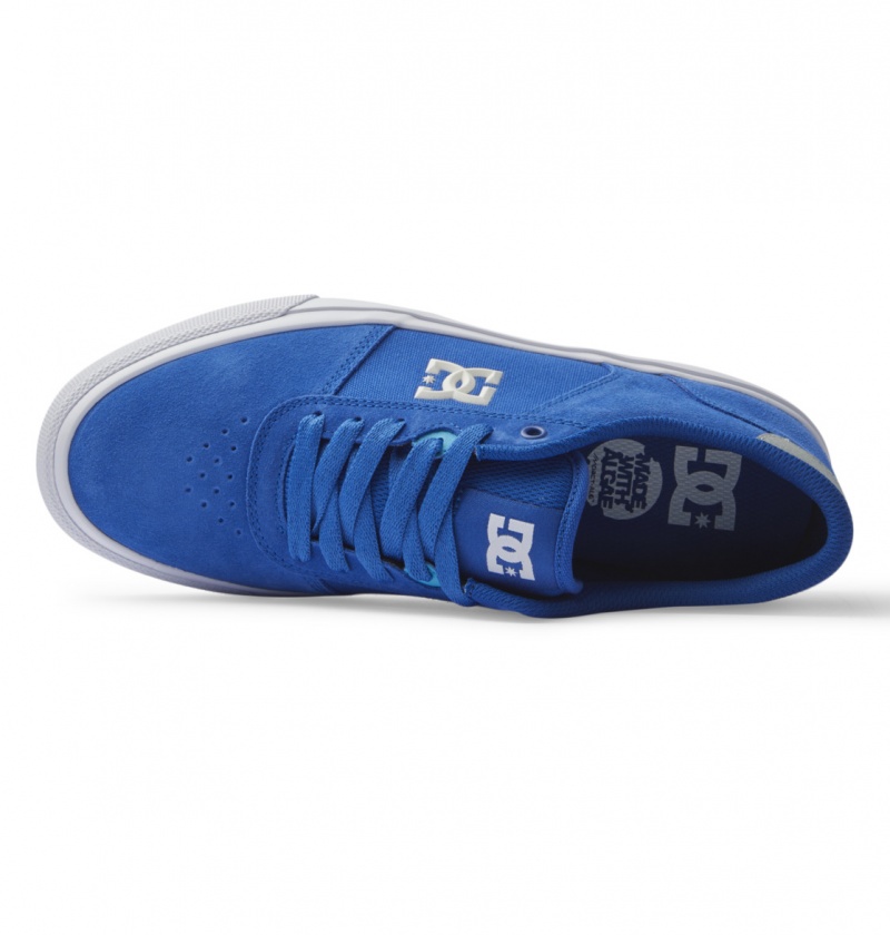 Blue / Blue / White DC Shoes Teknic - Leather Shoes | VAHMXQ-712