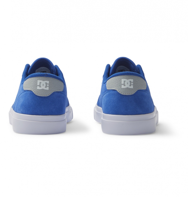 Blue / Blue / White DC Shoes Teknic - Leather Shoes | VAHMXQ-712