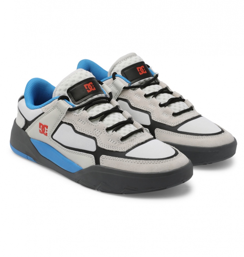 Blue / White DC Shoes DC Metric Le - Leather Shoes | NQAMJF-947