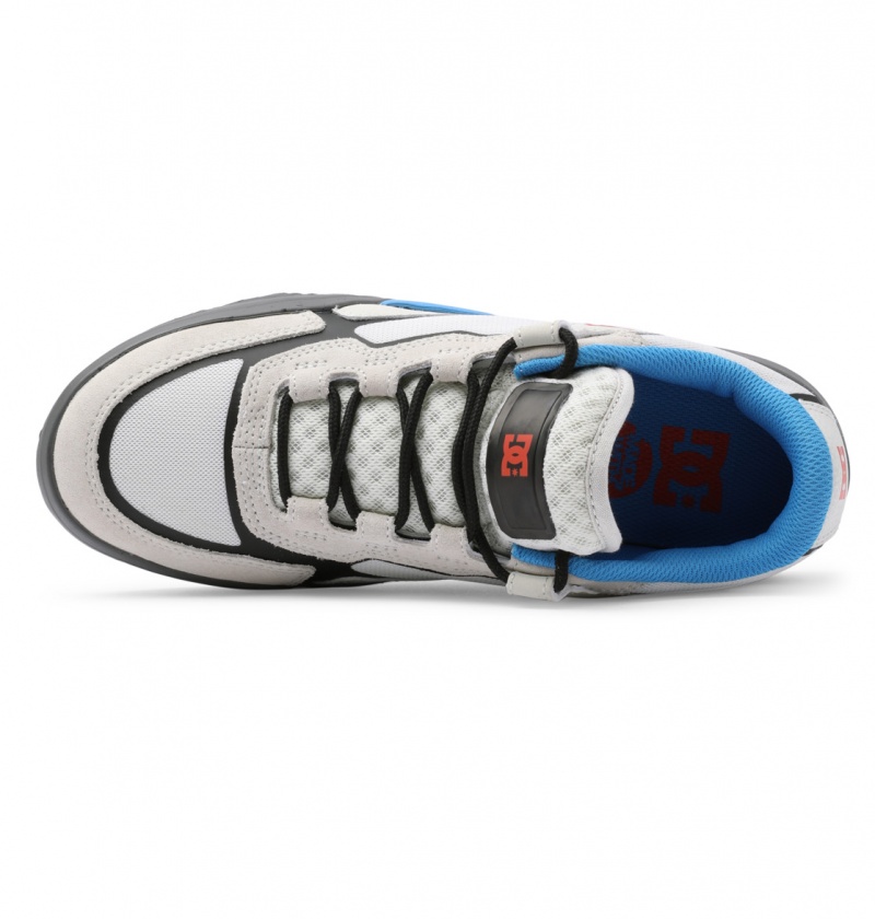 Blue / White DC Shoes DC Metric Le - Leather Shoes | NQAMJF-947