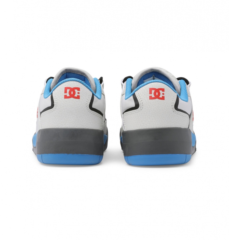 Blue / White DC Shoes DC Metric Le - Leather Shoes | NQAMJF-947