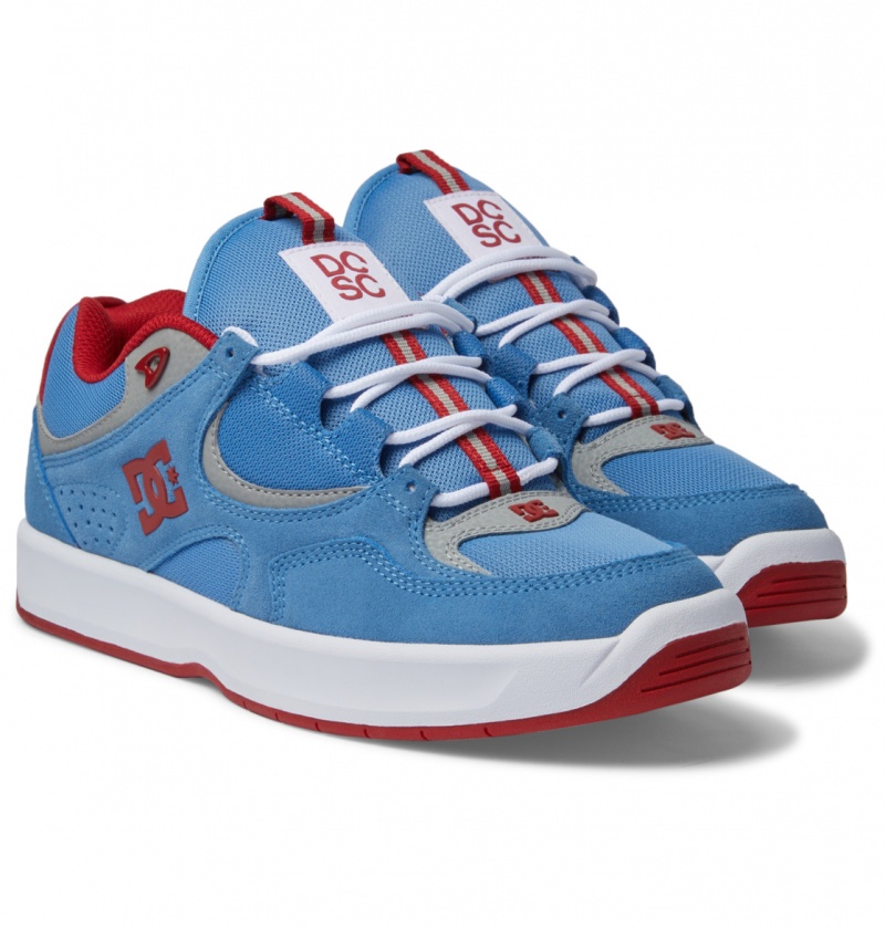 Carolina Blue DC Shoes Kalynx Zero S - Leather Skate Shoes | RVGLTC-214