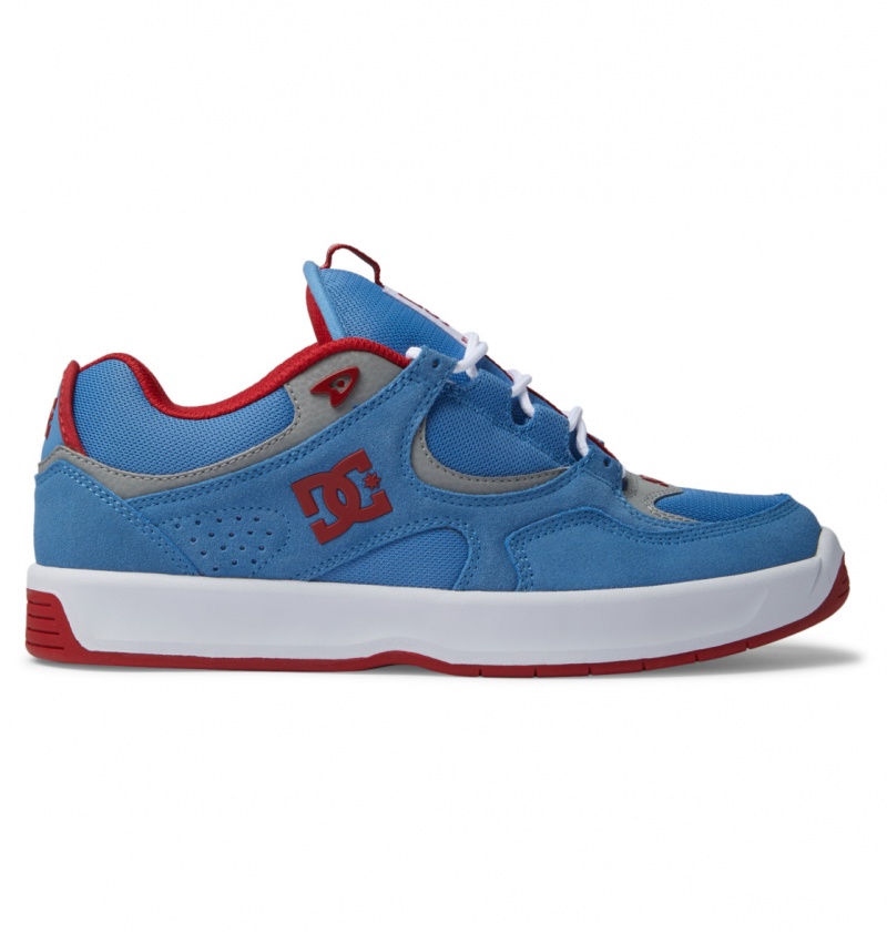 Carolina Blue DC Shoes Kalynx Zero S - Leather Skate Shoes | RVGLTC-214