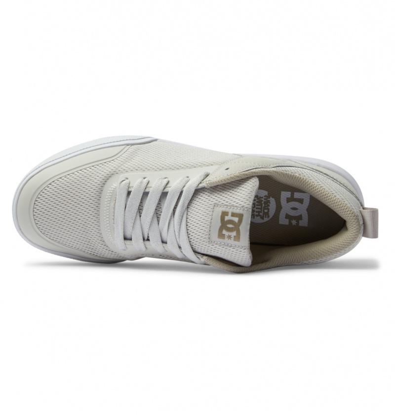 Chestnut / Off White DC Shoes Transit - Shoes | VRSNUF-492