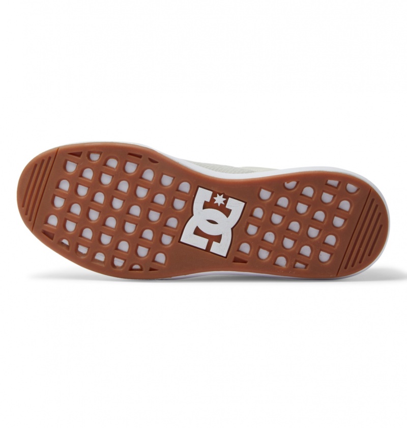 Chestnut / Off White DC Shoes Transit - Shoes | VRSNUF-492