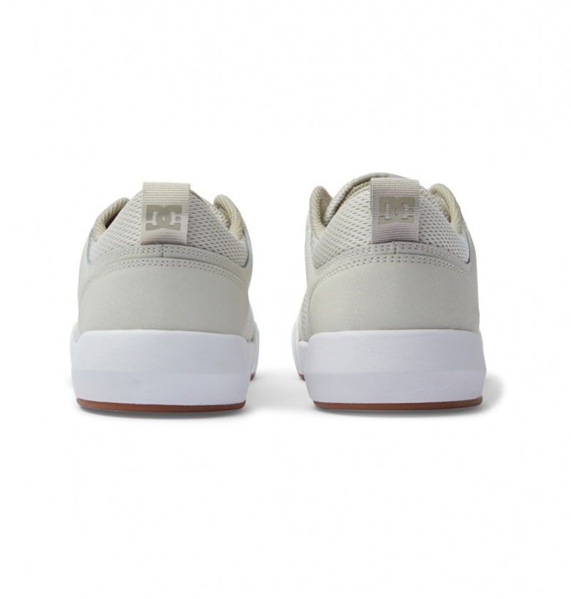 Chestnut / Off White DC Shoes Transit - Shoes | VRSNUF-492