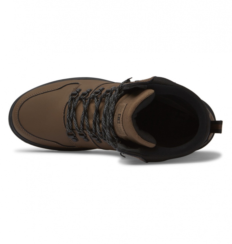 Dark Chocolate DC Shoes Peary Tr - Leather Boots | HWYBED-182