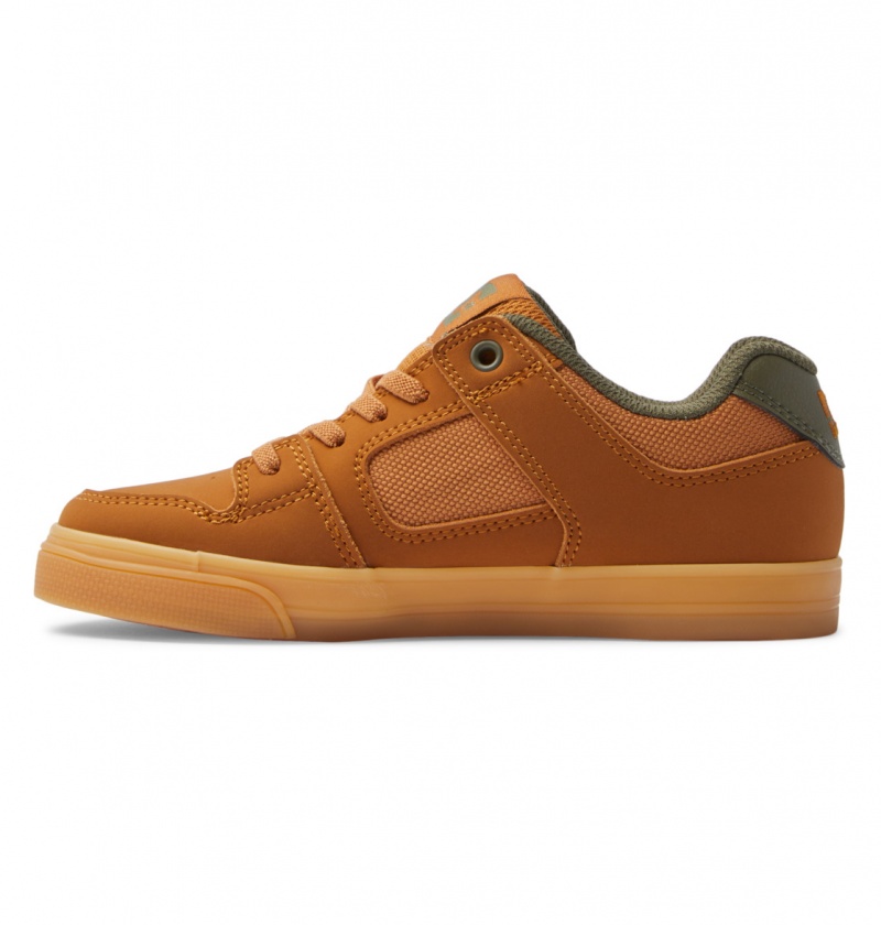 Dark Chocolate / Wheat / Gum DC Shoes Pure Elastic - Shoes 8-16 | DILACB-453