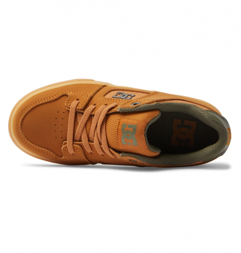 Dark Chocolate / Wheat / Gum DC Shoes Pure Elastic - Shoes 8-16 | DILACB-453