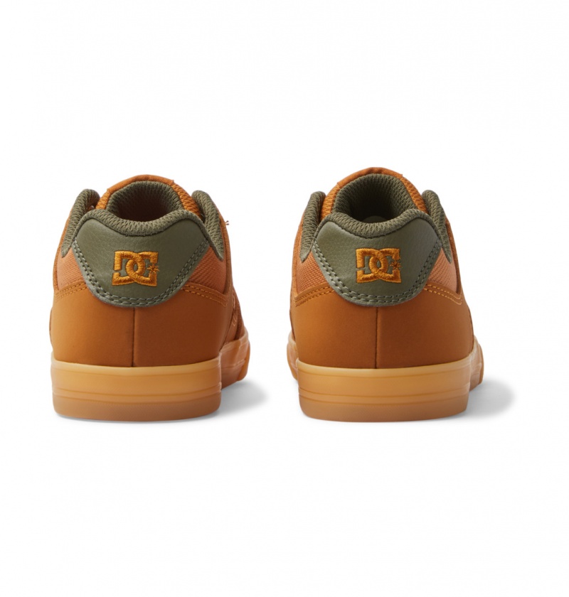 Dark Chocolate / Wheat / Gum DC Shoes Pure Elastic - Shoes 8-16 | DILACB-453