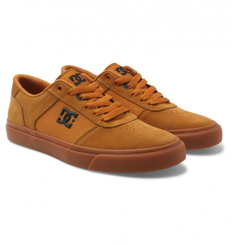 Dark Chocolate / Wheat / Gum DC Shoes Teknic - Leather Shoes | MSZGDW-017