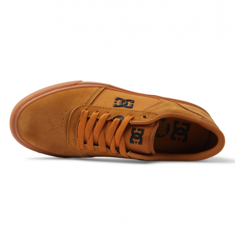 Dark Chocolate / Wheat / Gum DC Shoes Teknic - Leather Shoes | MSZGDW-017