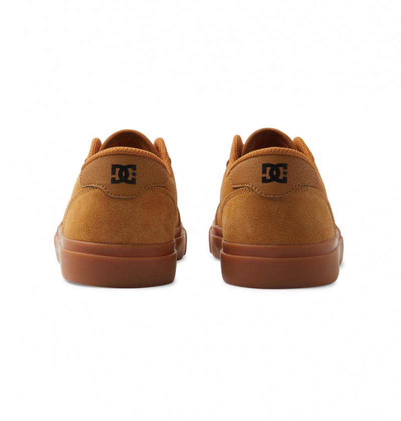 Dark Chocolate / Wheat / Gum DC Shoes Teknic - Leather Shoes | MSZGDW-017