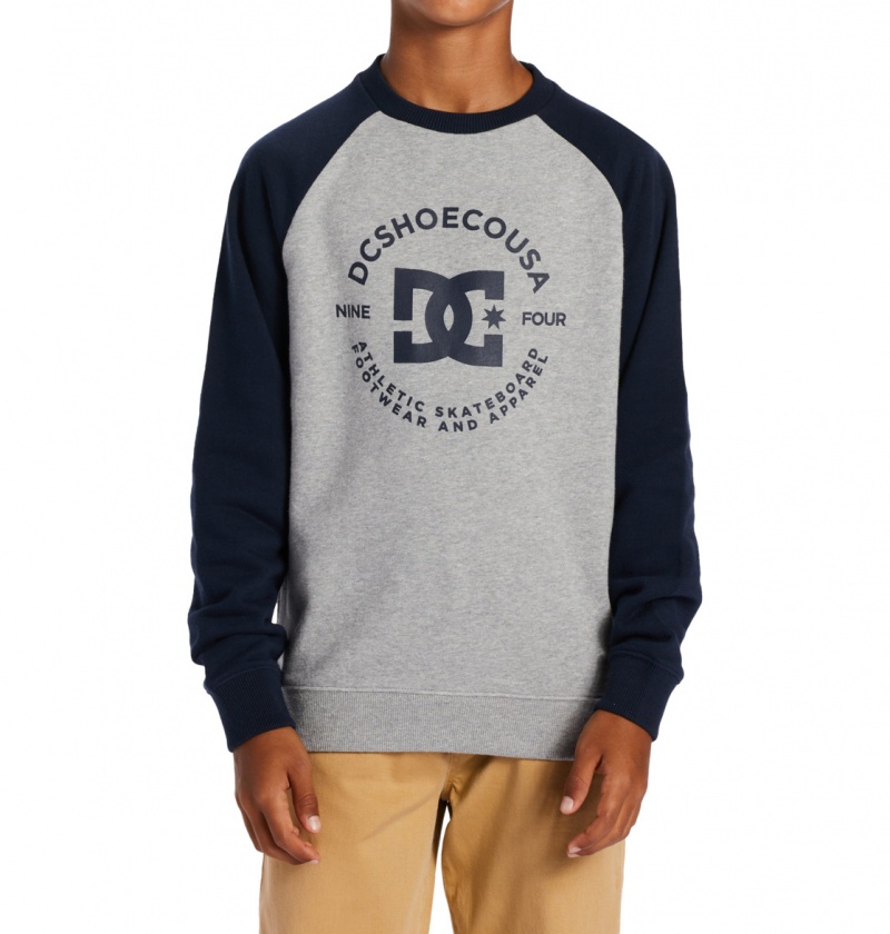 Heather Grey / Navy Blazer DC Shoes DC Star Pilot - Sweatshirt 8-16 | AUIOFN-761