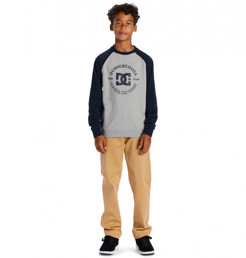 Heather Grey / Navy Blazer DC Shoes DC Star Pilot - Sweatshirt 8-16 | AUIOFN-761