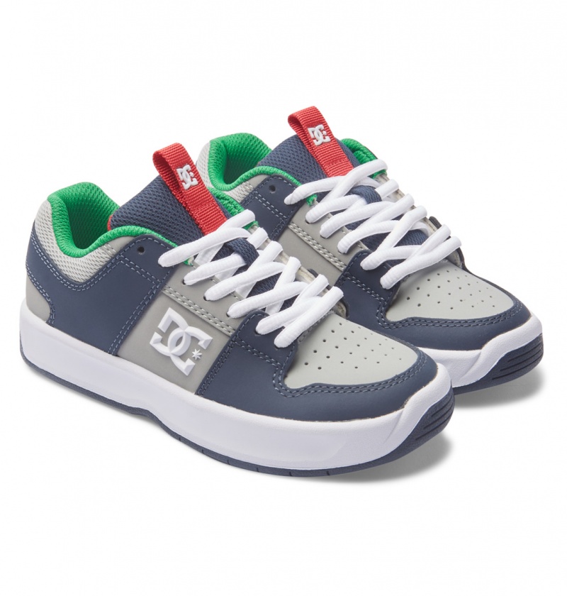 Heather Grey / Navy DC Shoes Lynx Zero - Leather Shoes | CPWMFQ-149