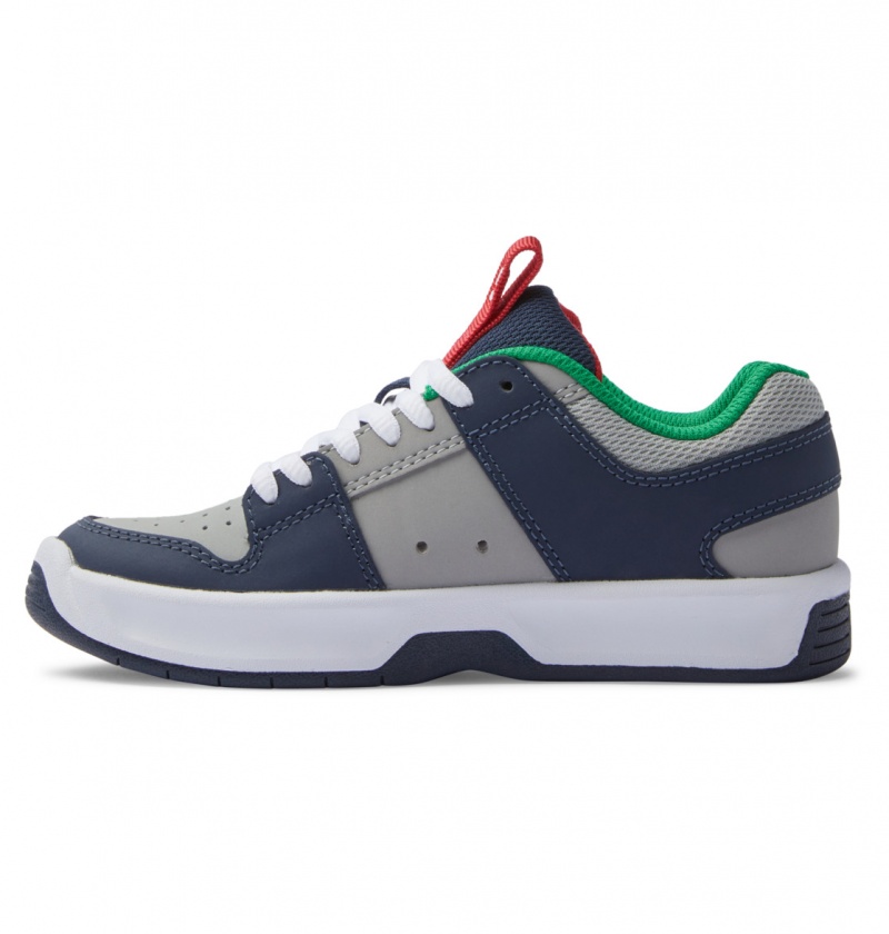 Heather Grey / Navy DC Shoes Lynx Zero - Leather Shoes | CPWMFQ-149