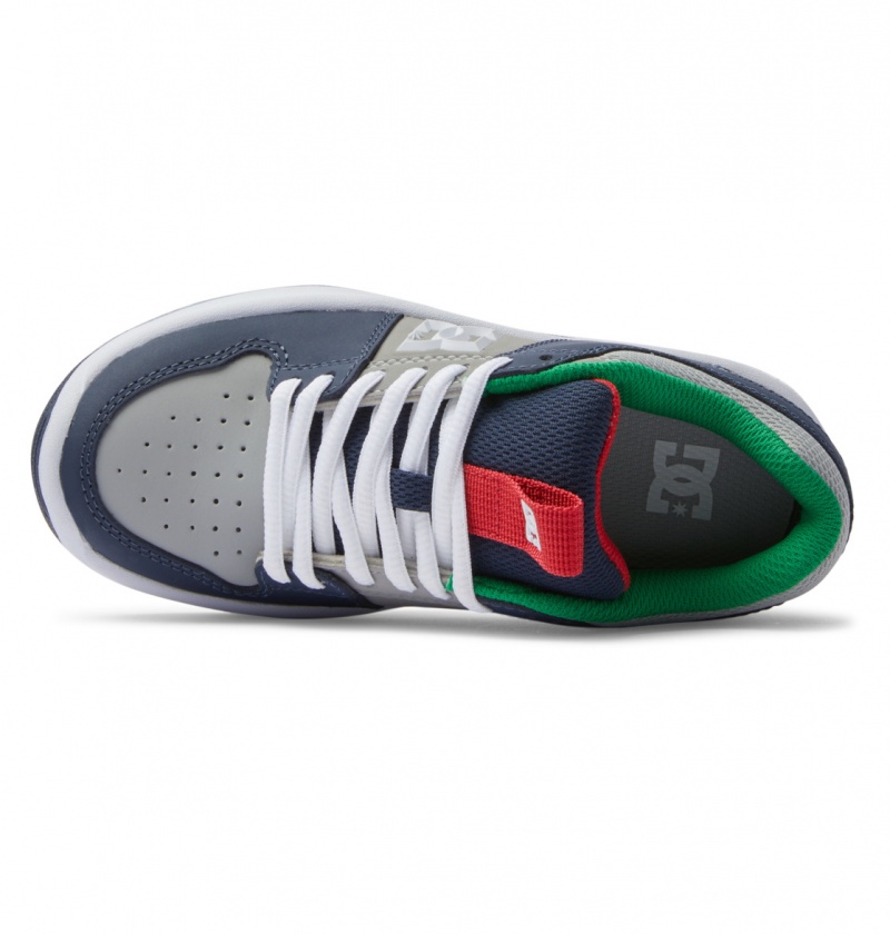 Heather Grey / Navy DC Shoes Lynx Zero - Leather Shoes | CPWMFQ-149