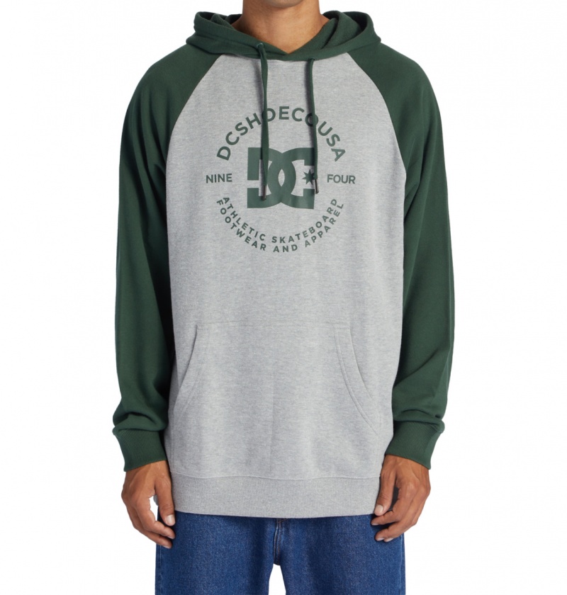 Heather Grey / Sycamore DC Shoes DC Star Pilot - Hoodie | HMFPBJ-128