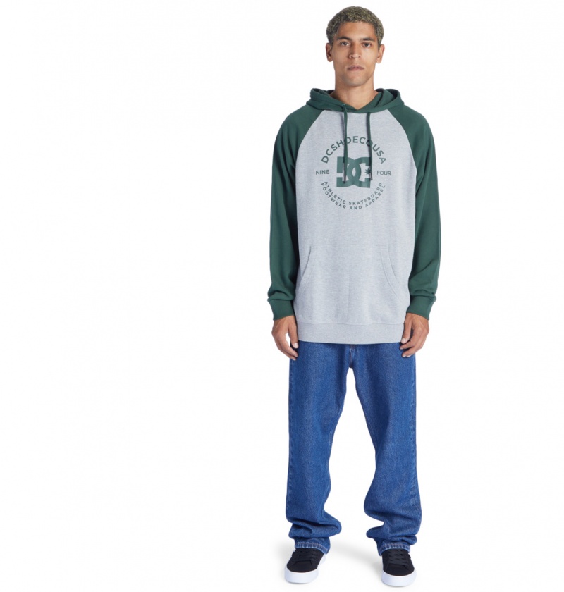 Heather Grey / Sycamore DC Shoes DC Star Pilot - Hoodie | HMFPBJ-128