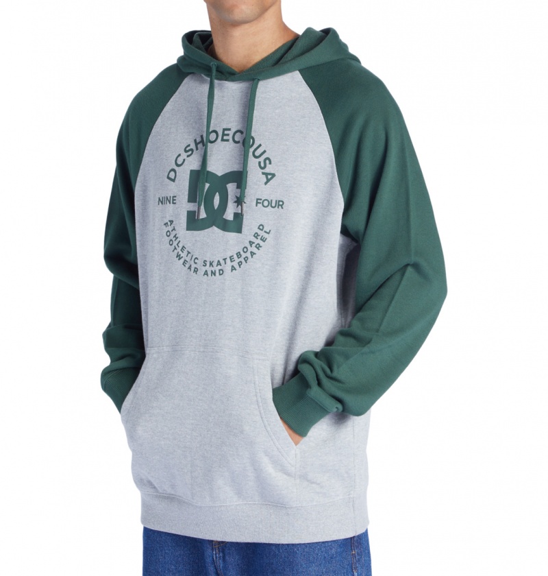 Heather Grey / Sycamore DC Shoes DC Star Pilot - Hoodie | HMFPBJ-128